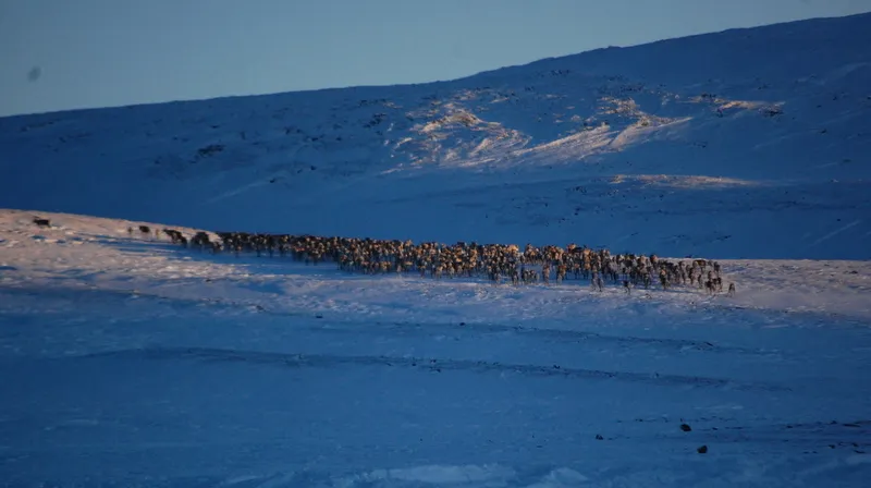 Klicka för att förstora