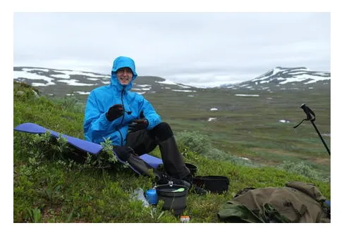 Veckans recepttips - Lax i ostsås