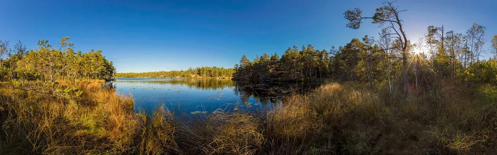 Klicka för att förstora