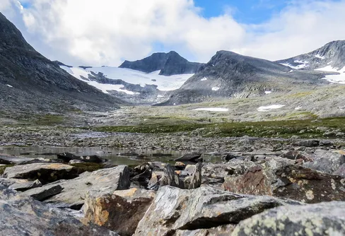 Fyra nyanser av sommar. Del 4 - den första snön