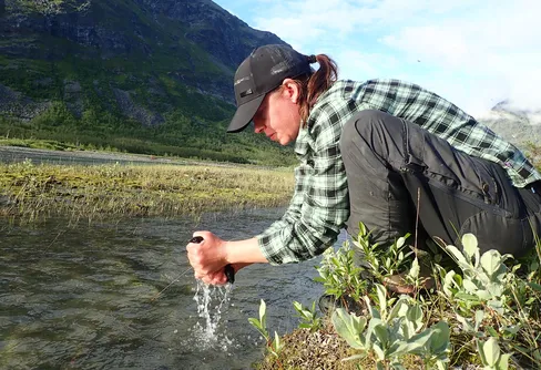 Tvätta strumpor vid Rovdjurstorget