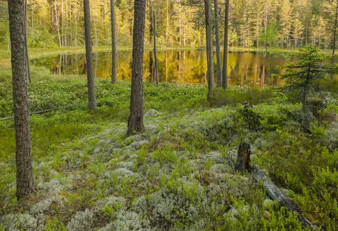 Många har nära till skyddad natur