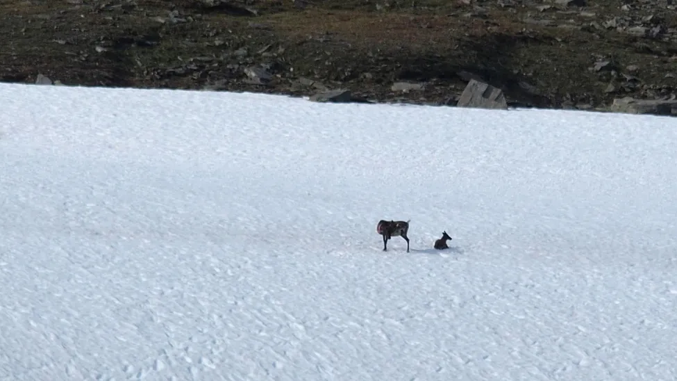Klicka för att förstora