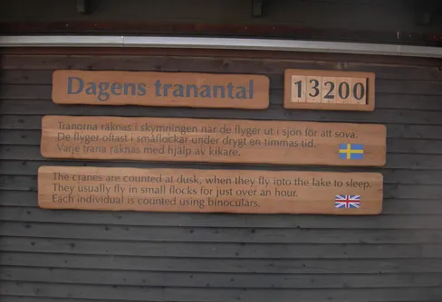 Full fart vid Trandansen