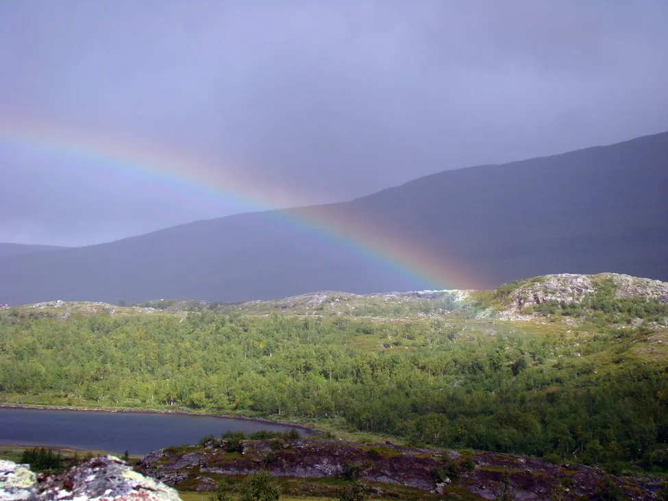 Klicka för att förstora