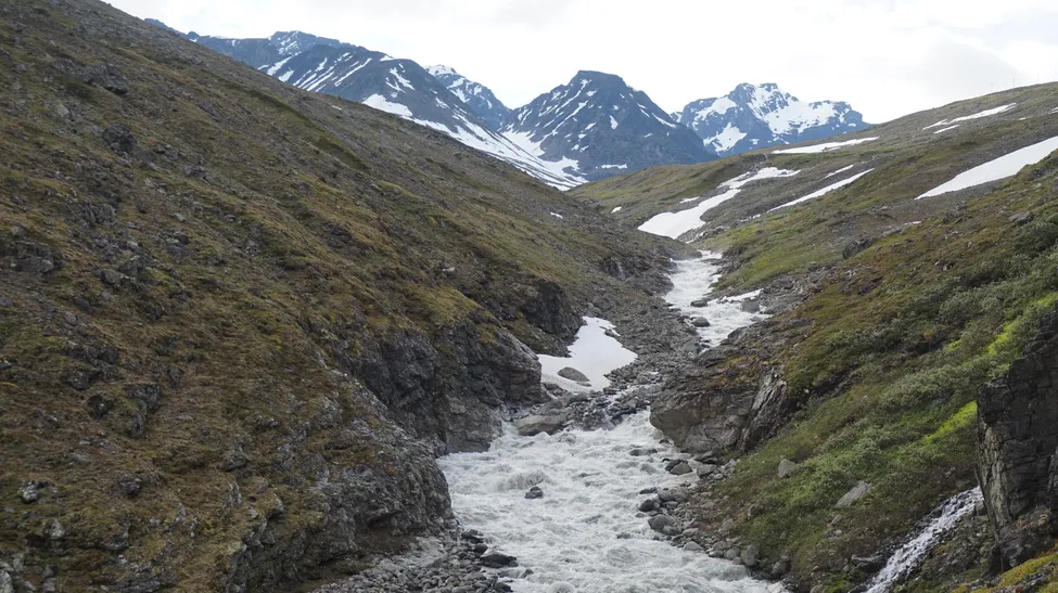 Klicka för att förstora