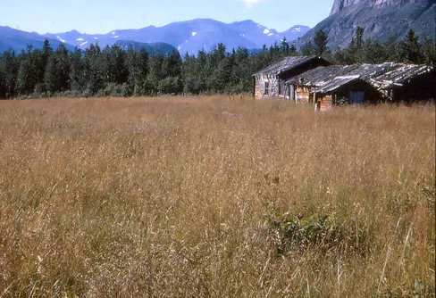 Axel Hamberg – Sarekkartan och nedre Njoatsosvágge