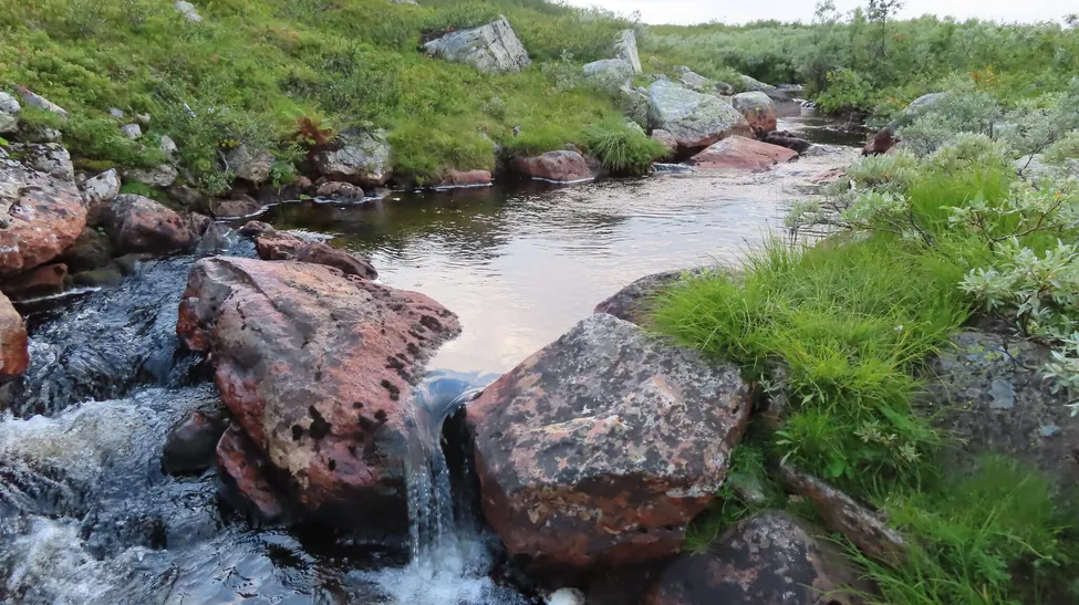 Klicka för att förstora