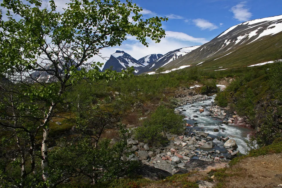 Klicka för att förstora