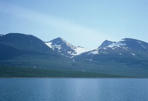 Hold your horses! eller, Sakta i backarna.