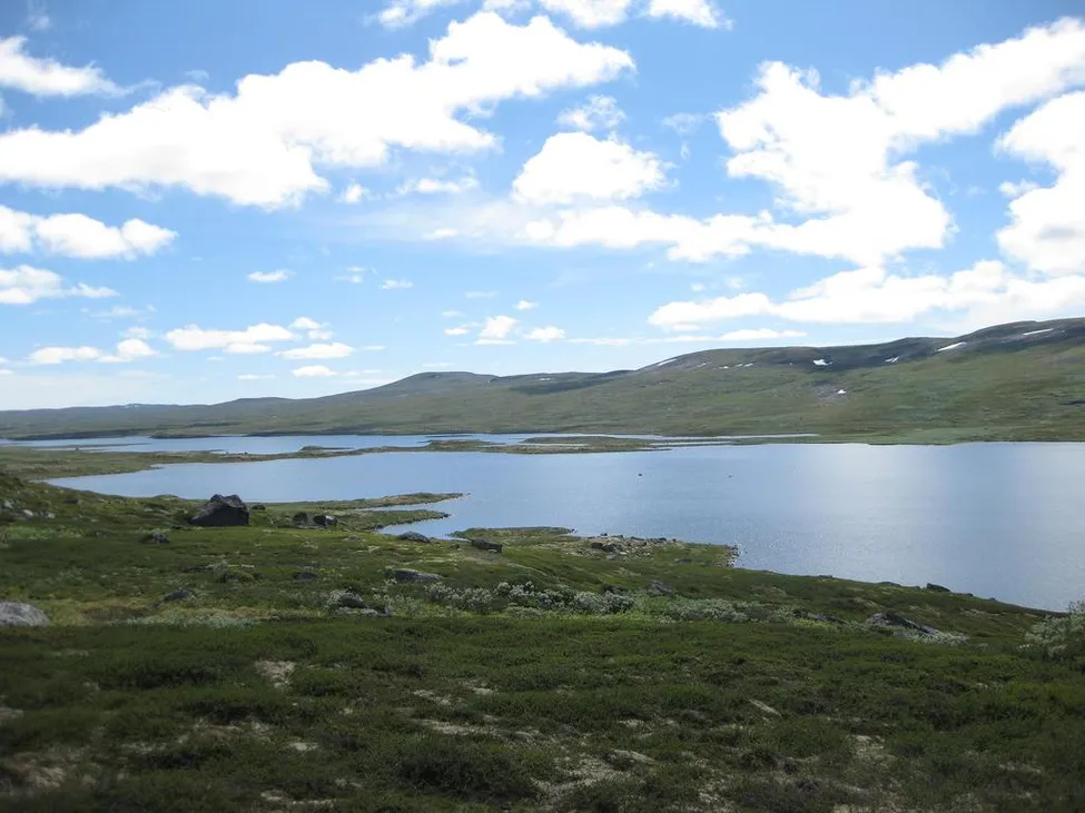 Klicka för att förstora