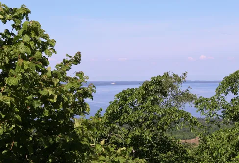 Kinnekulleleden - en vandring på det blommande berget