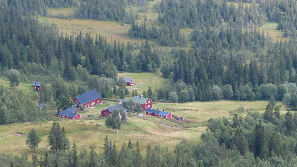 Klicka för att förstora