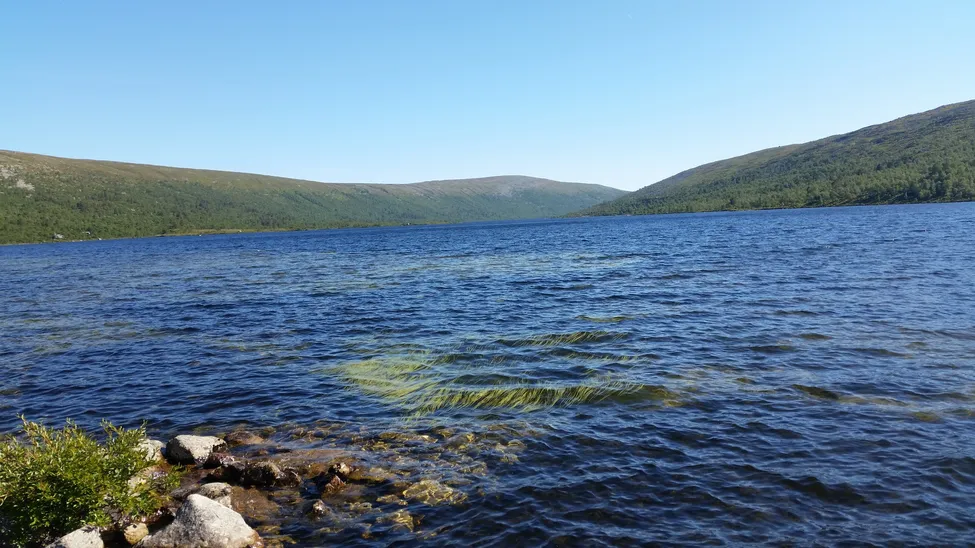 Klicka för att förstora