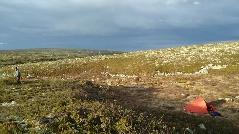 Klicka för att förstora