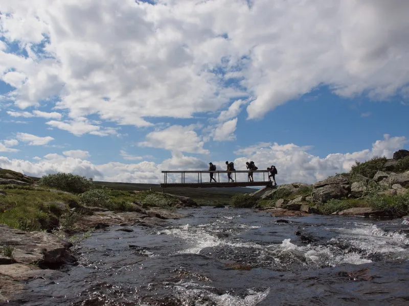 Klicka för att förstora