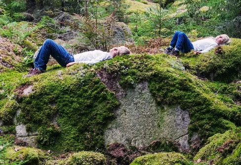 Många aktiviteter under Skogsdagarna