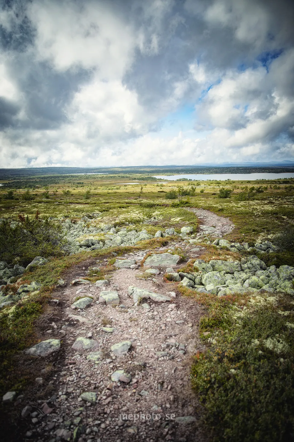 Klicka för att förstora