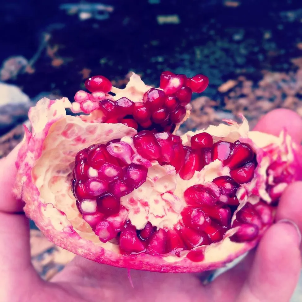 Klicka för att förstora