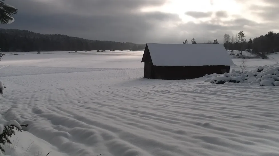 Klicka för att förstora