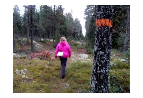 Visste du att Upplandsleden startar i Stockholm? - Tipps på vandringar i Stockholm