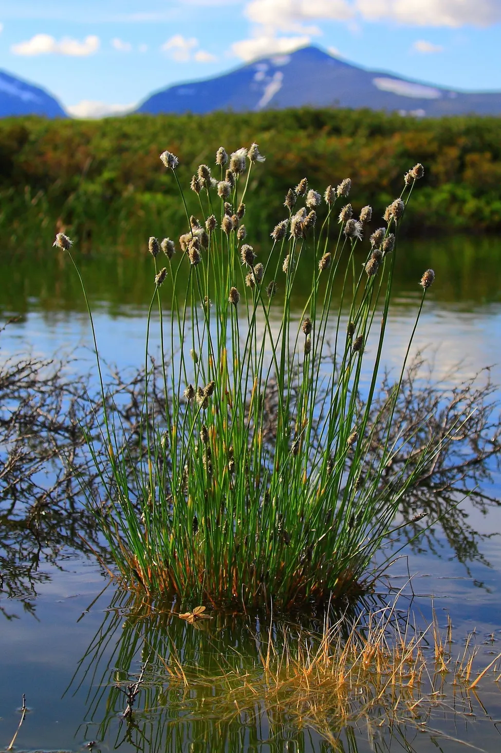 Klicka för att förstora