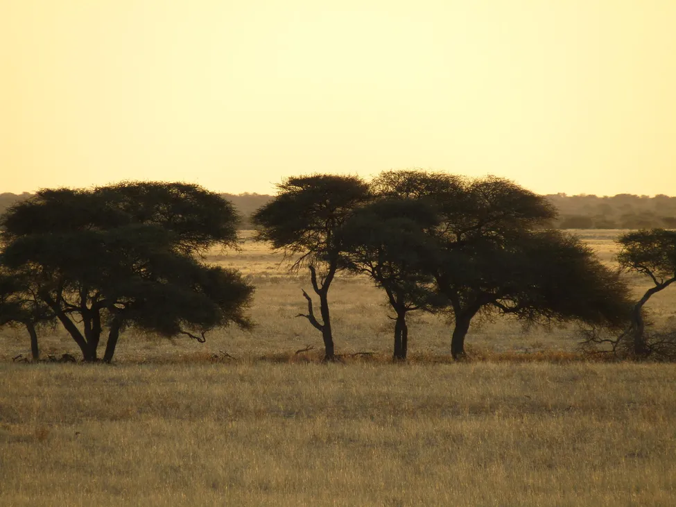Klicka för att förstora