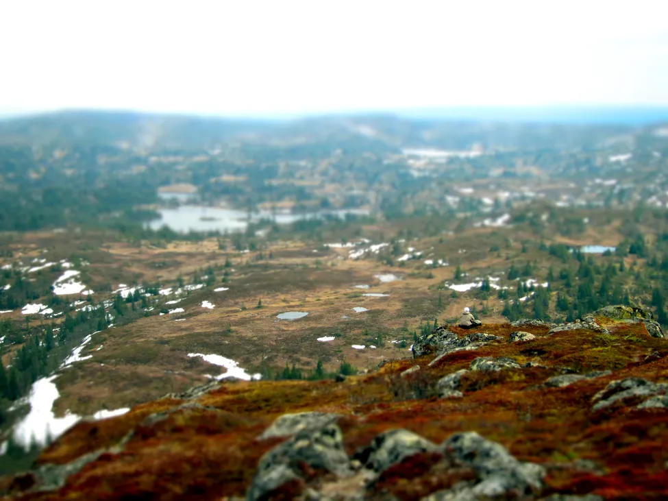 Klicka för att förstora