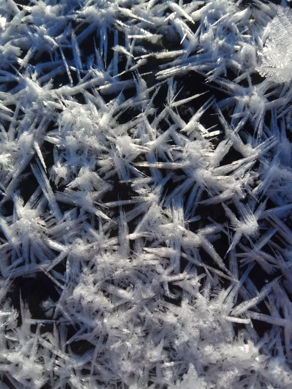 Klicka för att förstora