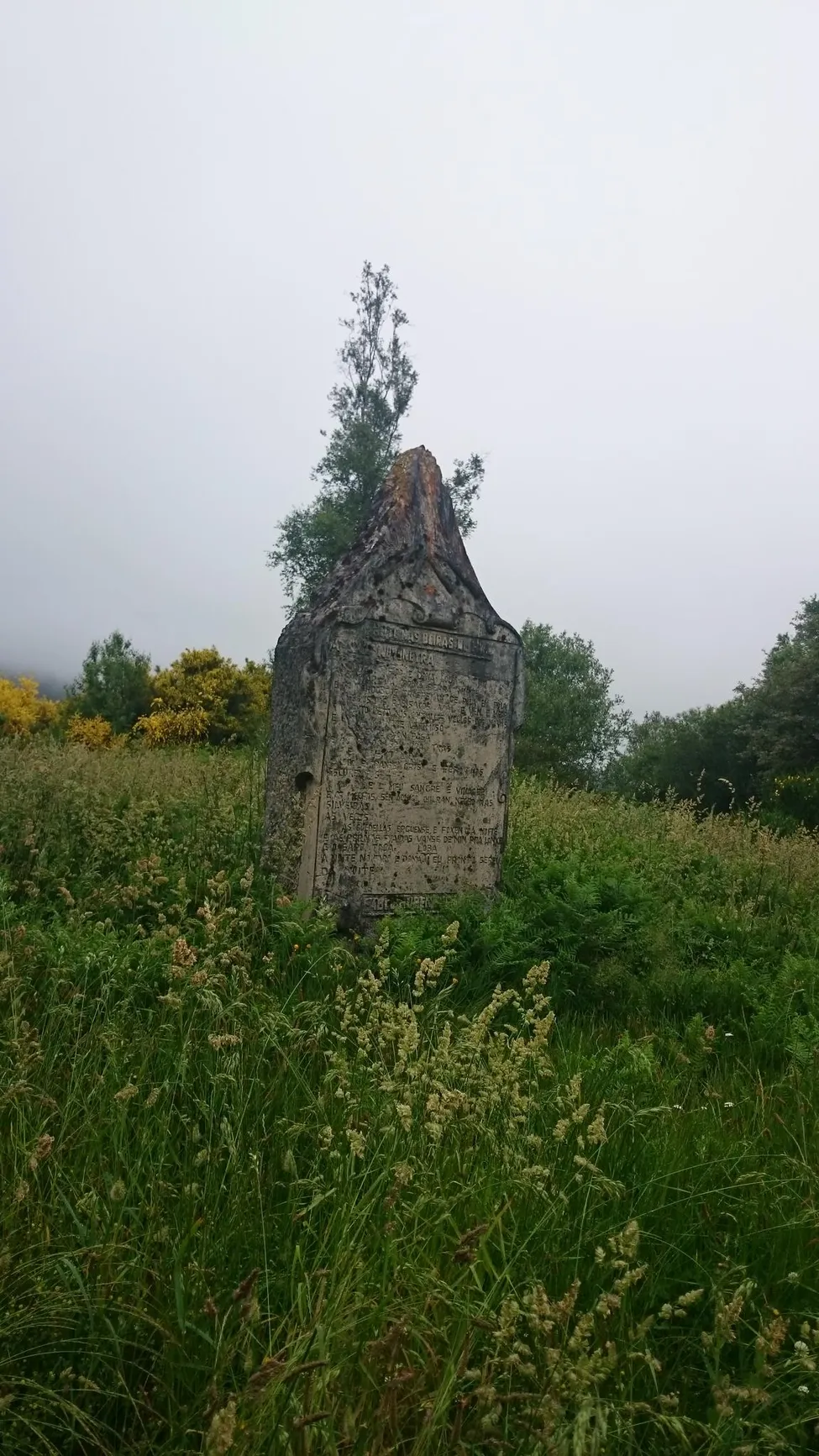 Klicka för att förstora