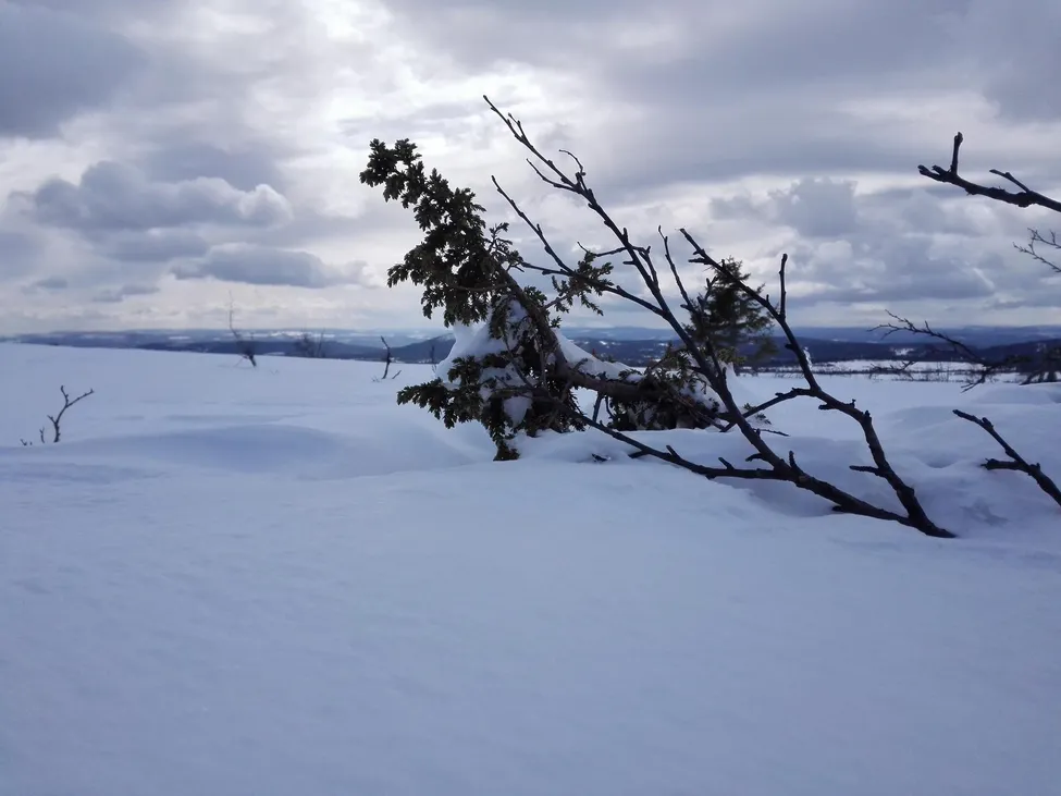 Klicka för att förstora