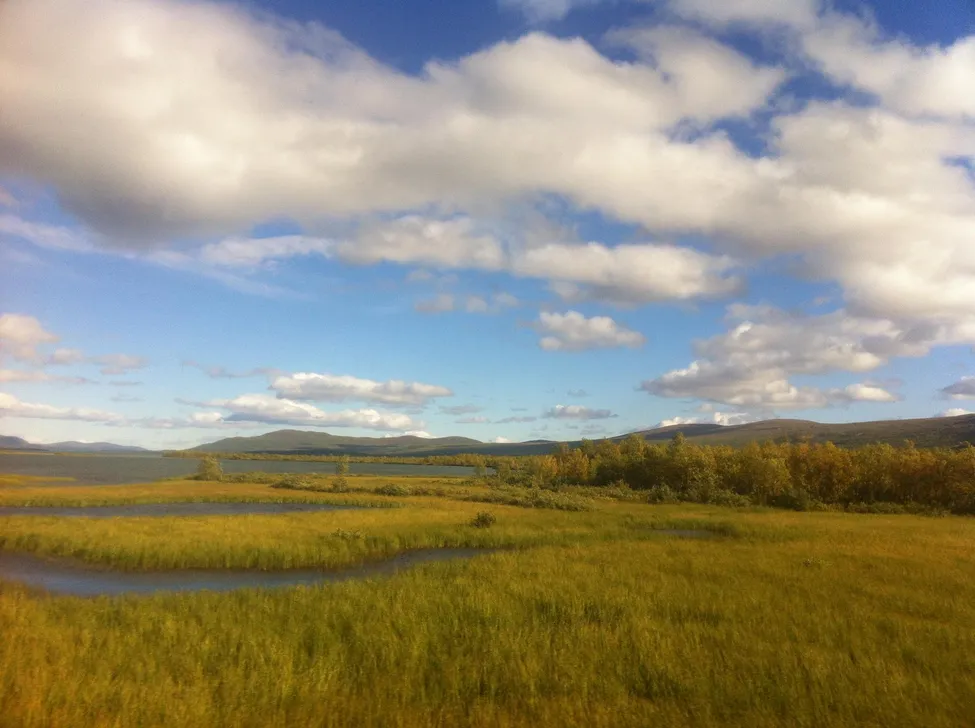 Klicka för att förstora