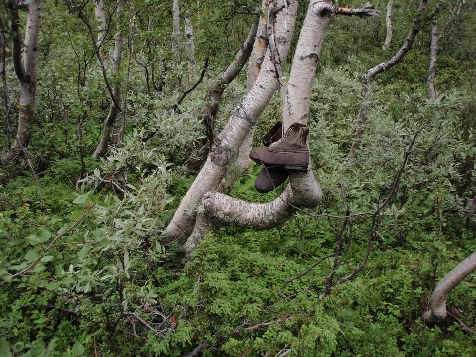 Klicka för att förstora
