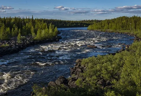 Värdefulla naturskogar hotas av Skogsstyrelsens beslut