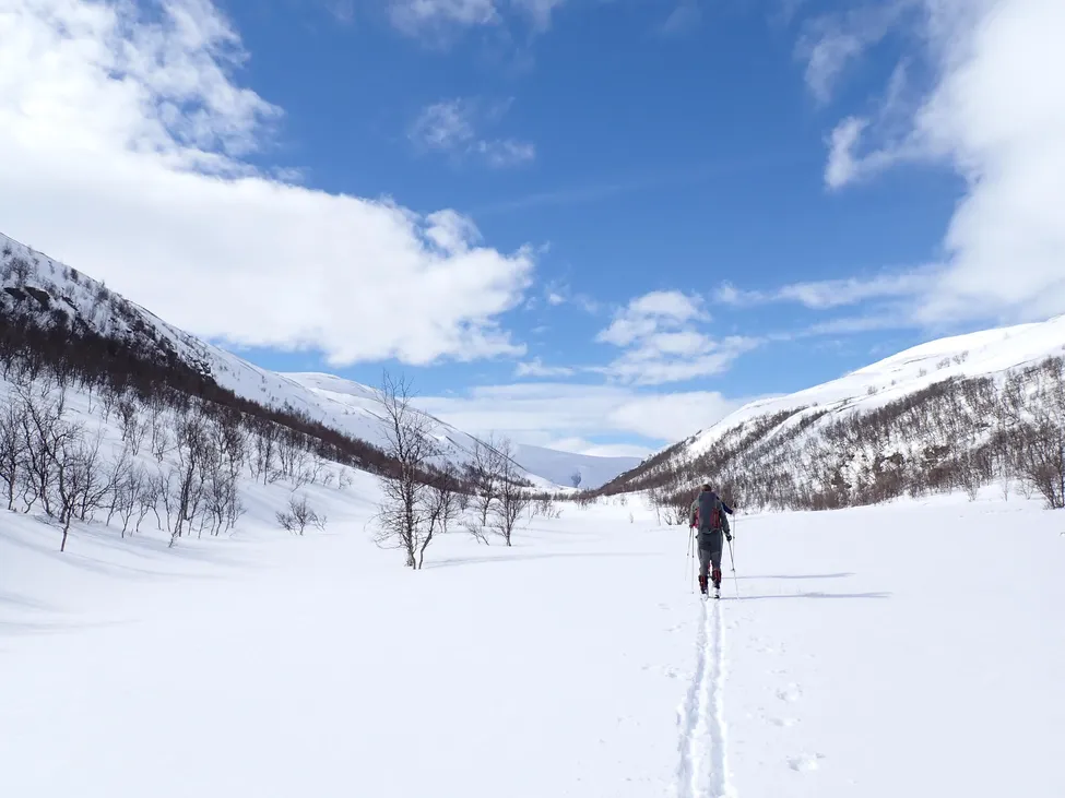 Klicka för att förstora