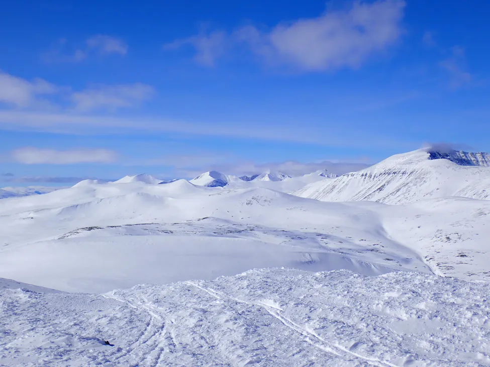 Klicka för att förstora