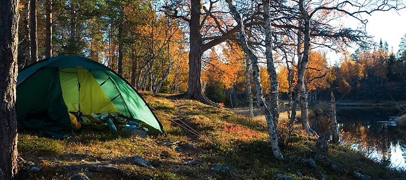 Klicka för att förstora