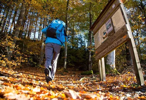 Chalmersstudenter prisade för unika vindskydd