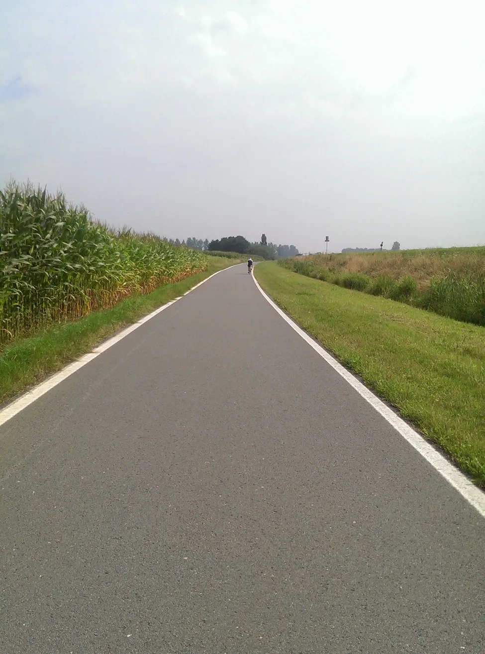 Klicka för att förstora