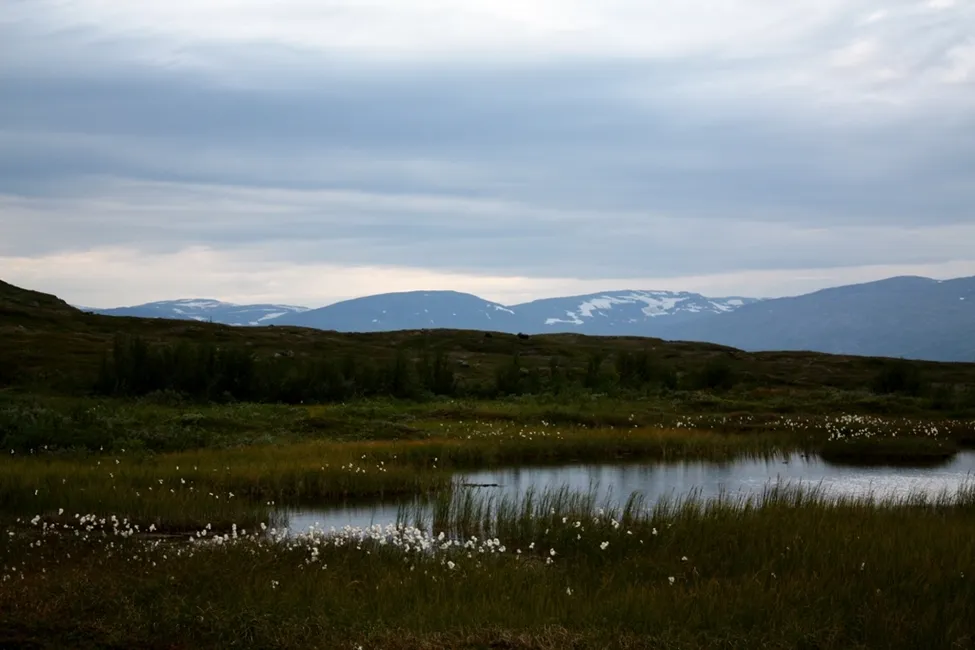 Klicka för att förstora