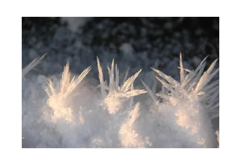 Vinnarna klara i fototävlingen December