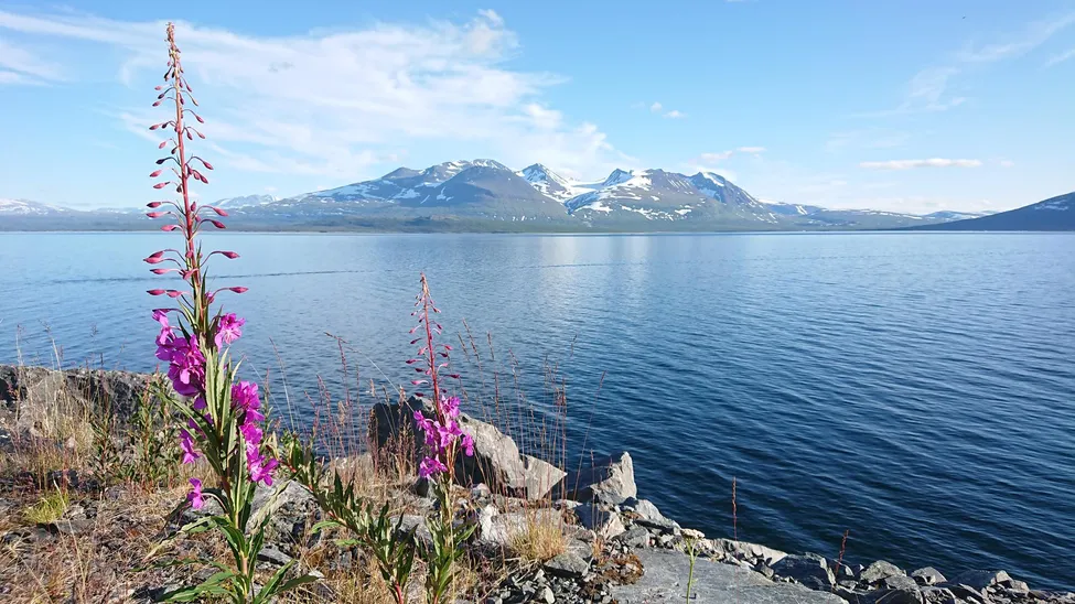 Klicka för att förstora