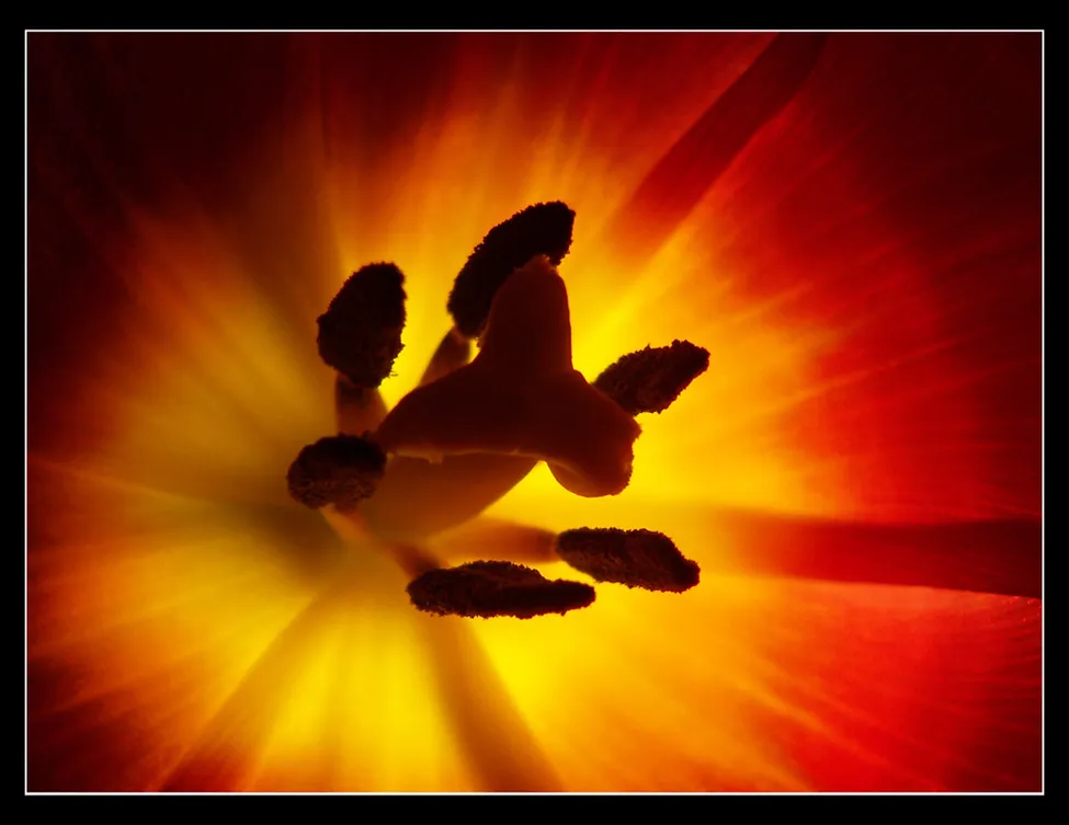 Klicka för att förstora