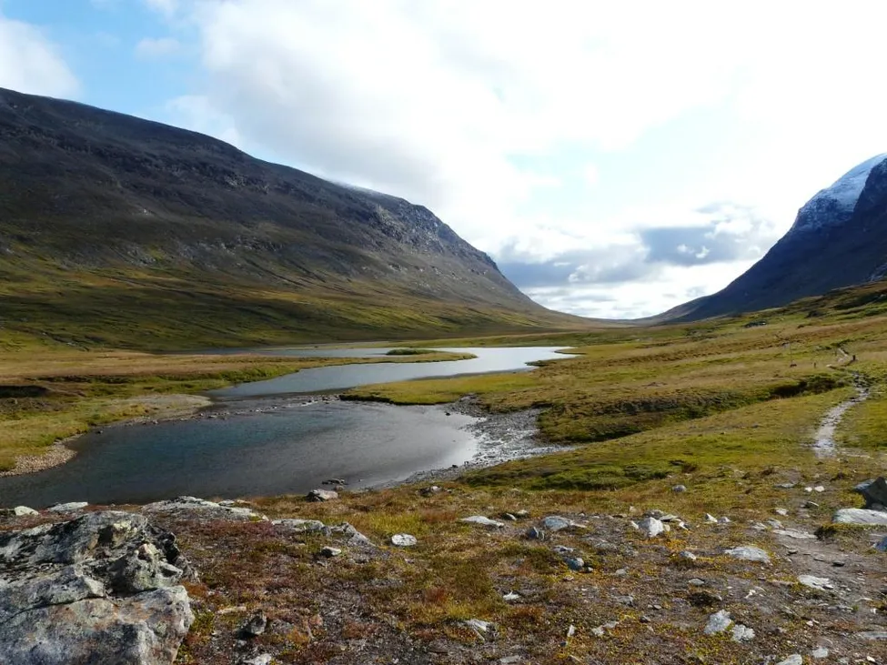 Klicka för att förstora
