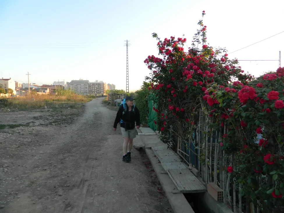 Klicka för att förstora