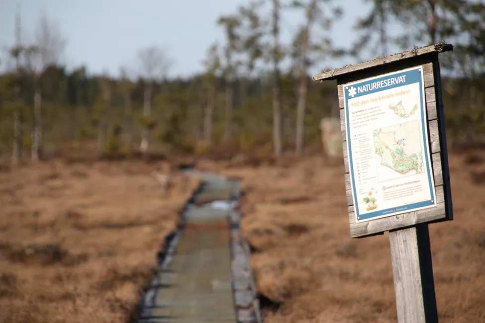 Klicka för att förstora