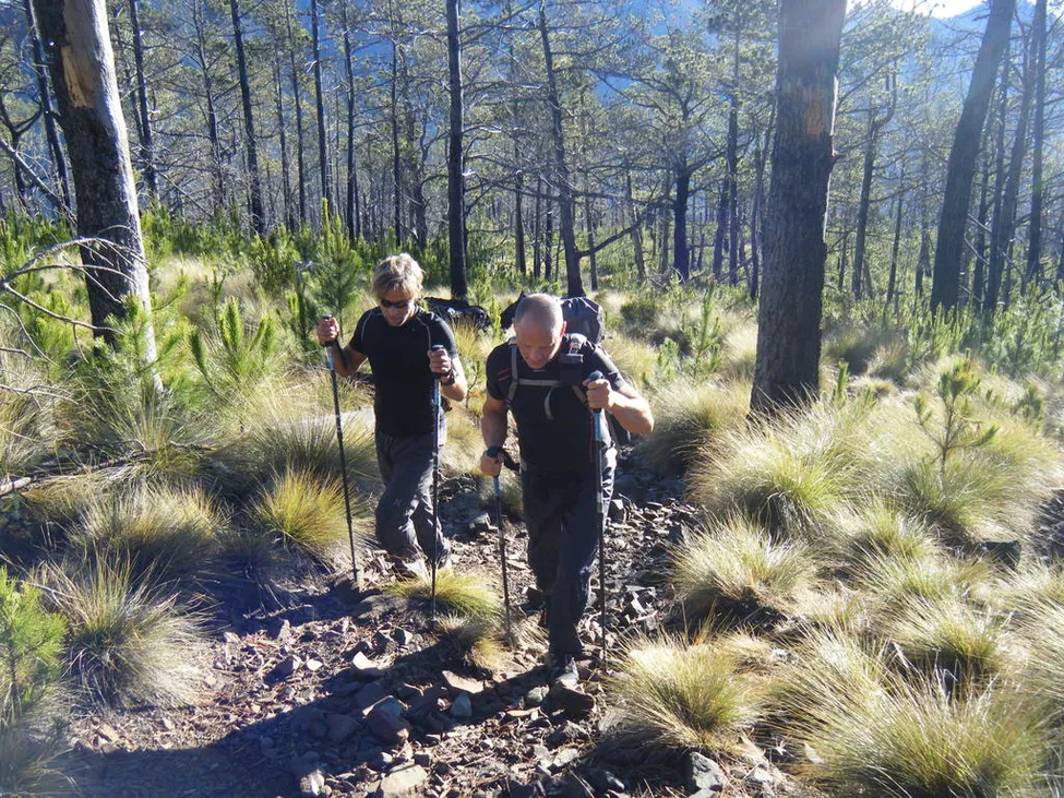 Klicka för att förstora