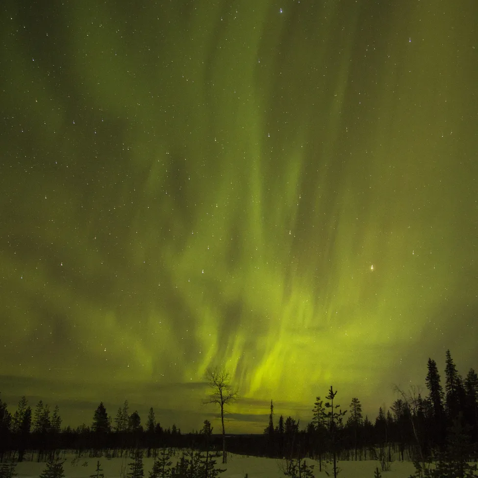 Klicka för att förstora