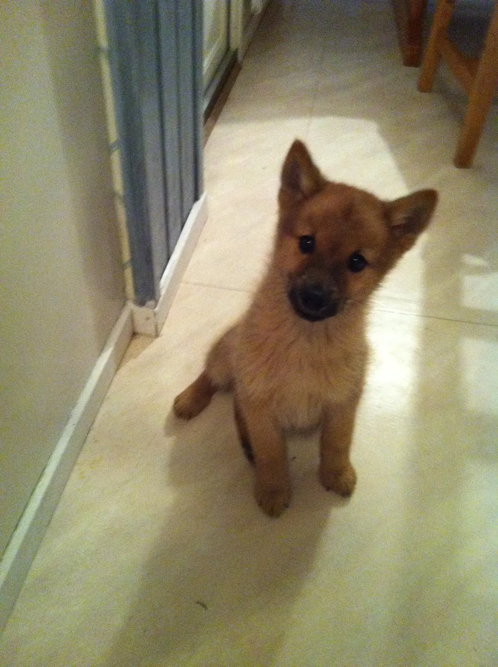 Klicka för att förstora