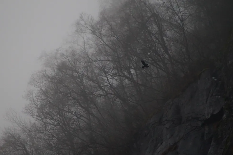 Klicka för att förstora